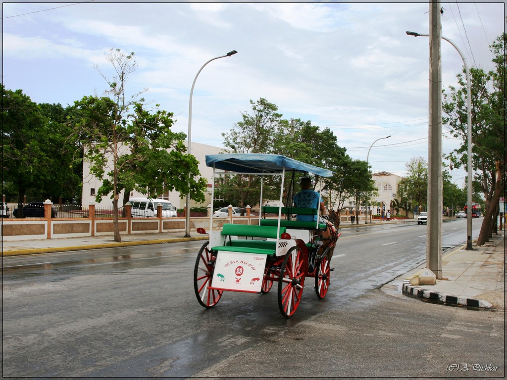 Повозка в Варадеро