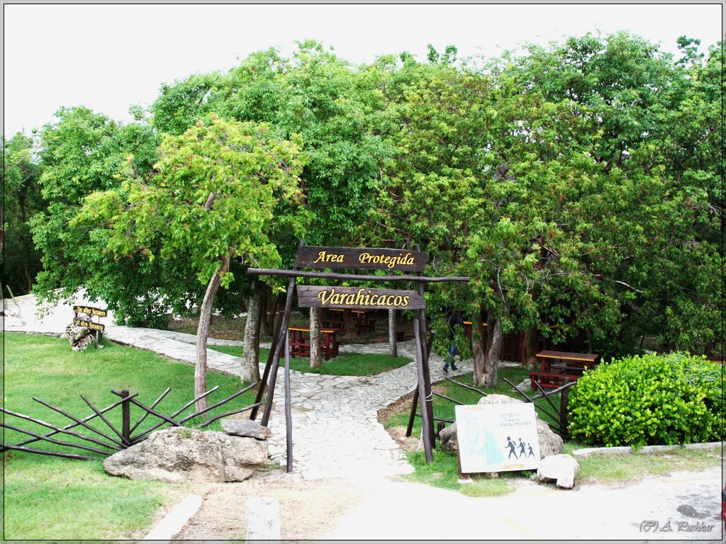 Varahicacos Ecological Reserve