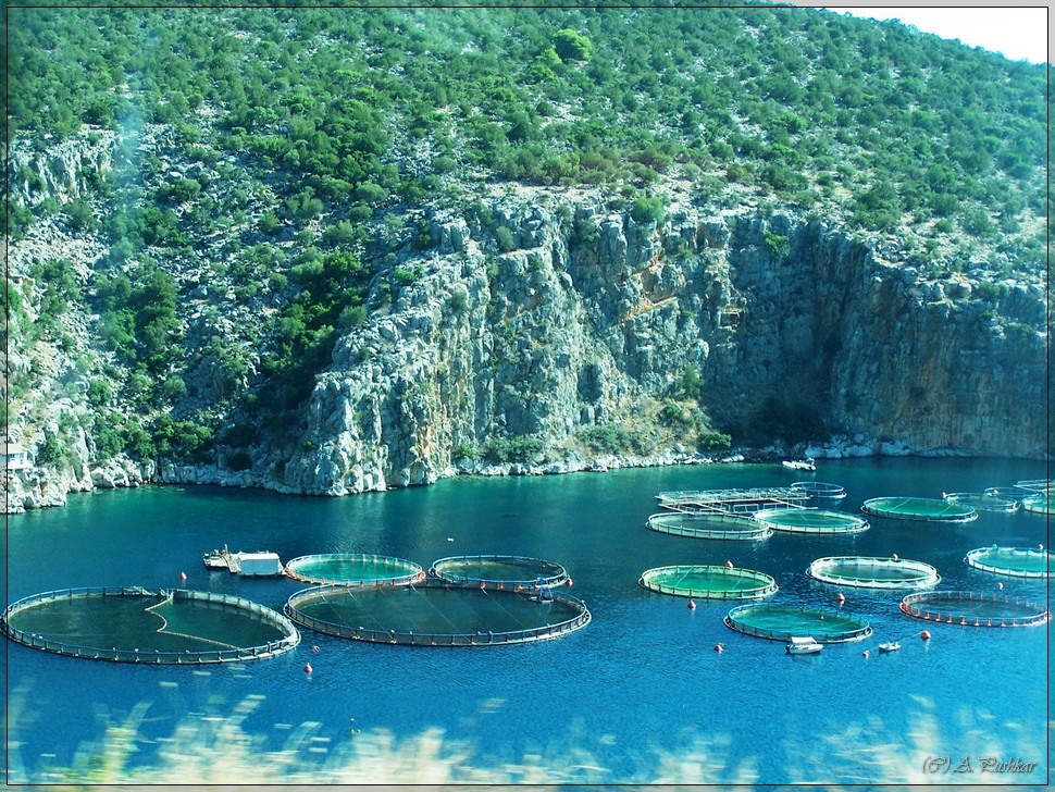 Рыбная плантация. Греция