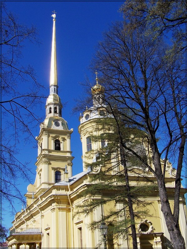 Петропавловский собор. г. Санкт-Петербург